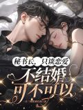 只谈恋爱不结婚 小说