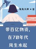 带百亿物资,在70年代风生水起全集阅读
