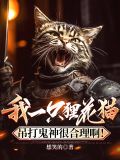 我一只狸花猫吊打鬼神很合理啊图片