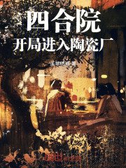 四合院开局进入陶瓷厂九猫小说