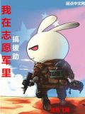 抗美援朝:我在志愿军里搞援助