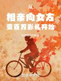 反向相遇