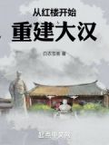 从红楼开始重建大汉