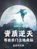 资质逆天的修仙小说