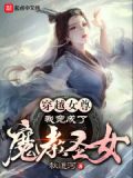 穿越女尊,我竟成了魔教圣女免费阅读