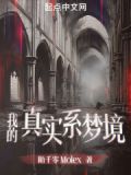我的真实系梦境