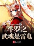 斗罗之武魂是雷电在线阅读