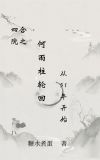 四合院之何雨柱轮回从51年开始