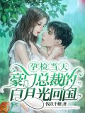 她藏起孕肚跳崖,豪门总裁疯了第几话离开