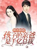 阴差阳错,孩子的亲爸是千亿总裁 唐家三姐