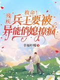 残疾王爷的特种兵医妃