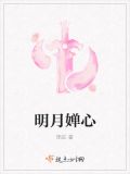 明月婵心