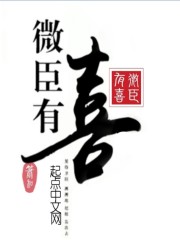 微臣有喜免费阅读