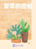 夏季的遗憾作文
