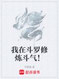 我在斗罗修炼斗气小说