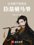 公主殿下,别跑全文阅读