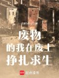 我在废土有个商店 小说
