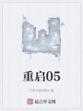 重启05类似的小说