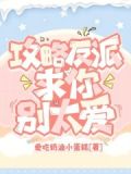 攻略反派小说gl大全