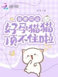 兽世溺宠:好孕猫猫顶不住啦