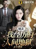 缅北我经历的人间地狱小说