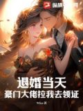 退婚后,大佬狂扒我马甲