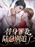 替身新娘陆总的第一宠妻小说免费阅读