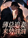 薄情总裁追妻漫漫路