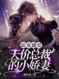 天价宠儿,霸道总裁宠妻