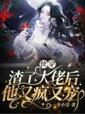 快穿:渣了大佬后他又疯又宠完整版