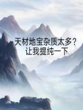 天材地宝杂质太多?让我提纯一下