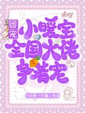 团宠小暖宝:全国大佬争着宠小说下载