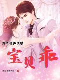 宝贝小说贺奕