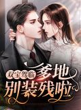 双宝驾临:爹地别装残啦