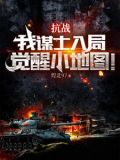 抗战:我谋士入局,觉醒小地图!