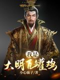 我是大明瓦罐鸡英文