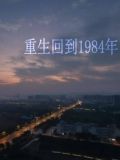 重生回到1984年那个遍地商机的年代