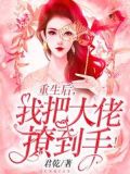 重生后,我把大佬撩到手!