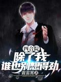 四合院：除了我，谁也别想得劲