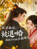 大明伪君子小说TXT免费下载