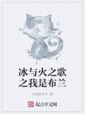 冰与火之歌之我是布兰