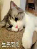 冥王