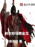 金戈纪