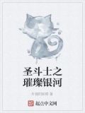 圣斗士之璀璨银河
