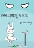 海贼王|鹰红|有生之年