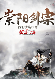 崇阳宗阳包装