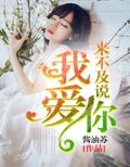 来不及说我爱你