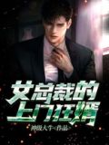 女总裁的上门狂婿叶凡