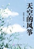 天空的风筝真多啊!有什么怎样的