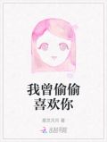 我曾偷偷喜欢你